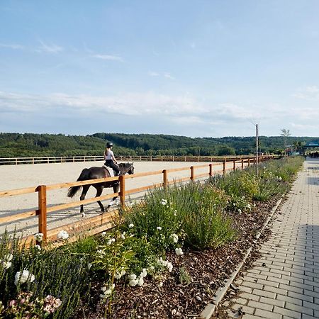 ホテル Bilichov エクステリア 写真